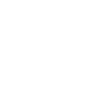 logoSW_W
